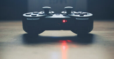 pixabay.com - Free-Photos