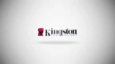 kingston