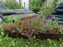 OnePlus Nord 2 5G Hauptkamera Testbild