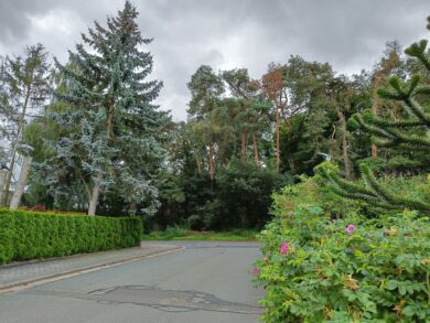 OnePlus Nord 2 5G Hauptkamera