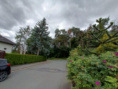 OnePlus Nord 2 5G Ultraweitwinkel