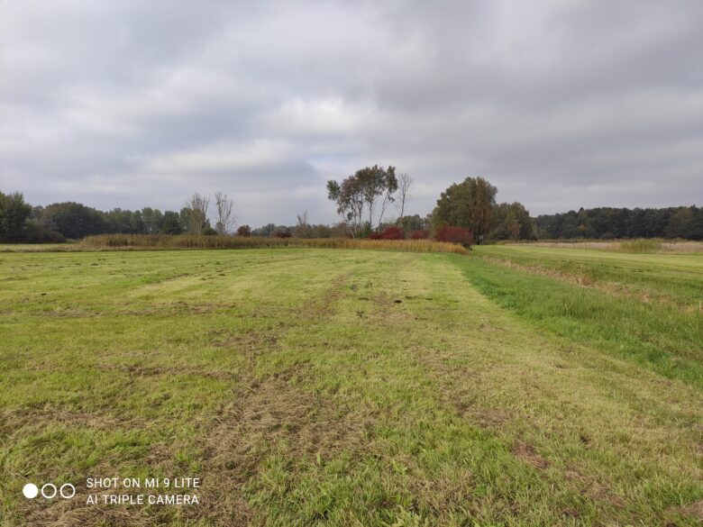 Hauptkamera des Xiaomi Mi 9 Lite