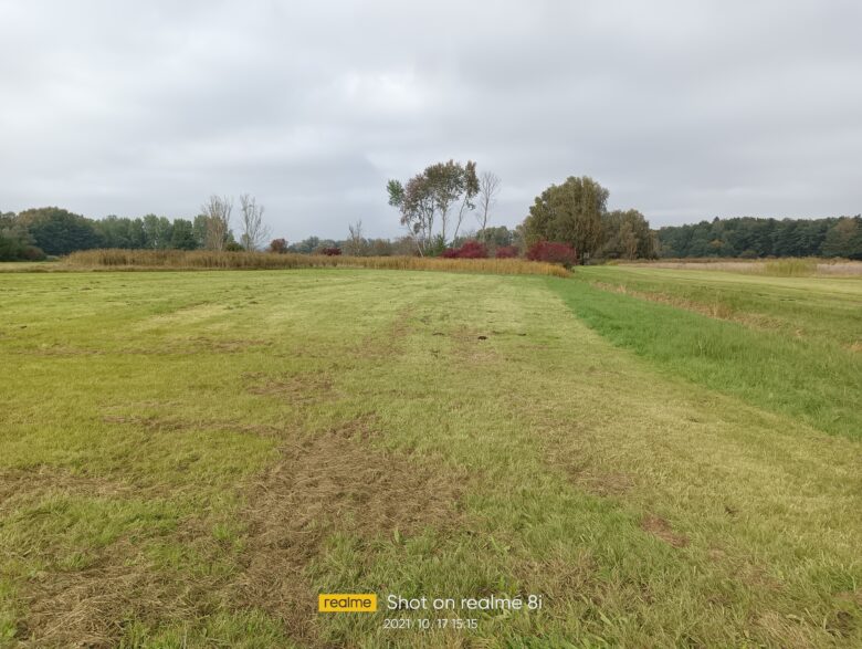 Hauptkamera des Realme 8i