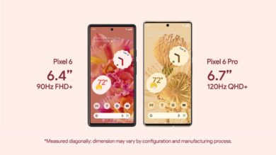 Google Pixel 6 und Pixel 6 Pro