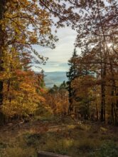 Foto aufgenommen mit dem Pixel 6 Pro