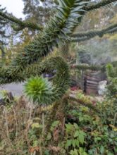 Foto aufgenommen mit dem Pixel 6 Pro