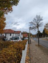 Pixel 6 Pro Kamera Zoom