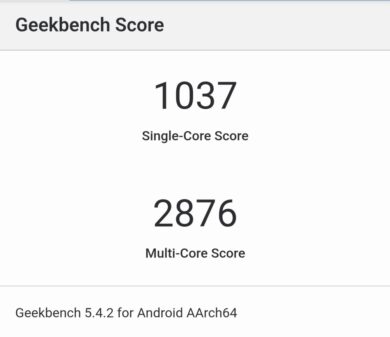 Pixel 6 Pro Geekbench 5 Benchmark