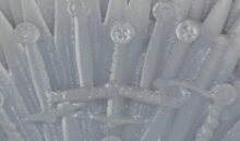 Mono X Detailaufnahme