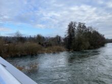 iPhone 13 Pro Wasser