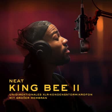 Neat Microphones Kind Bee II