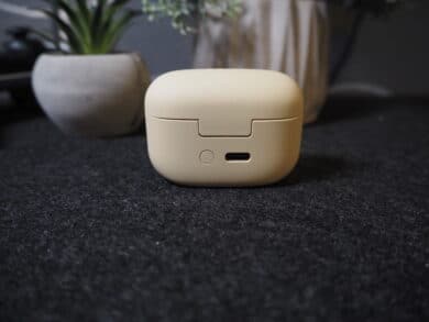 Ladecase der Linkbuds S