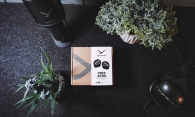 beyerdynamic Free Byrd Test