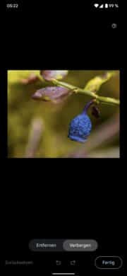 Google Pixel 6 Pro Verbergen-Feature