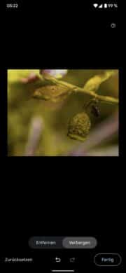 Google Pixel 6 Pro Verbergen-Feature