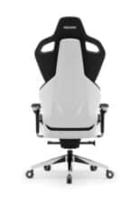 Recaro Exo Platinum Graphite White