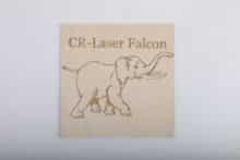 Creality CR Falcon Laser 10W