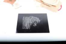 Creality CR Falcon Laser 10W