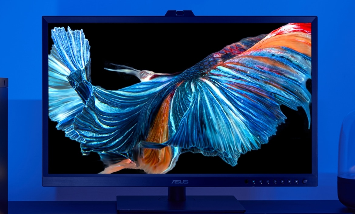 Asus ProArt Display OLED PA32DC