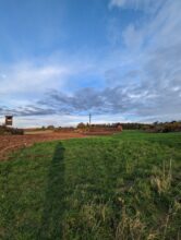 Google Pixel 7 Pro Zoom