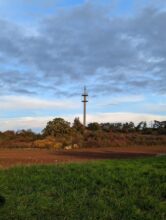 Google Pixel 7 Pro Zoom