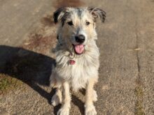 Google Pixel 7 Pro Testaufnahme