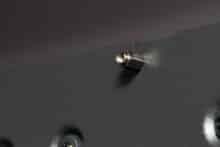 Abstandshalter für das Mainboard