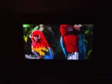 Das Bild ist klar und farbenfroh.