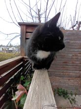 Aufnahme der Hauptkamera.