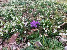 Aufnahme der Hauptkamera.