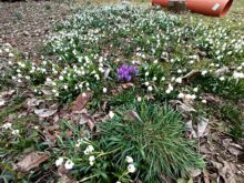 Aufnahme mit der Weitwinkel-Kamera.