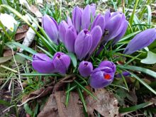 Aufnahme im Makro-Modus.