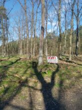 agm g2 Guardian Test