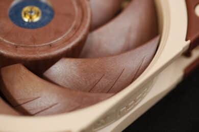 Nahaufnahme der braunen Lüfterblätter von vorne