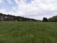 Rohaufnahme mit der 12MP Hauptkamera des Luna.