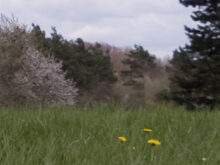 Ausschnitt aus der Rohaufnahme.