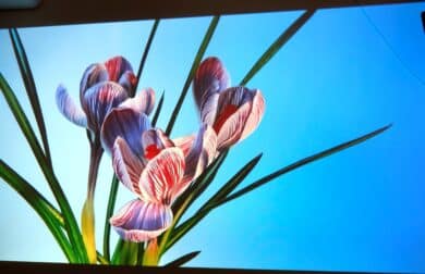 Yaber K2s Bildqualität