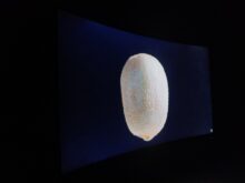 Backlight-Bleeding an den Seiten