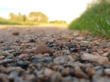 Steine auf dem Weg, Makrofoto