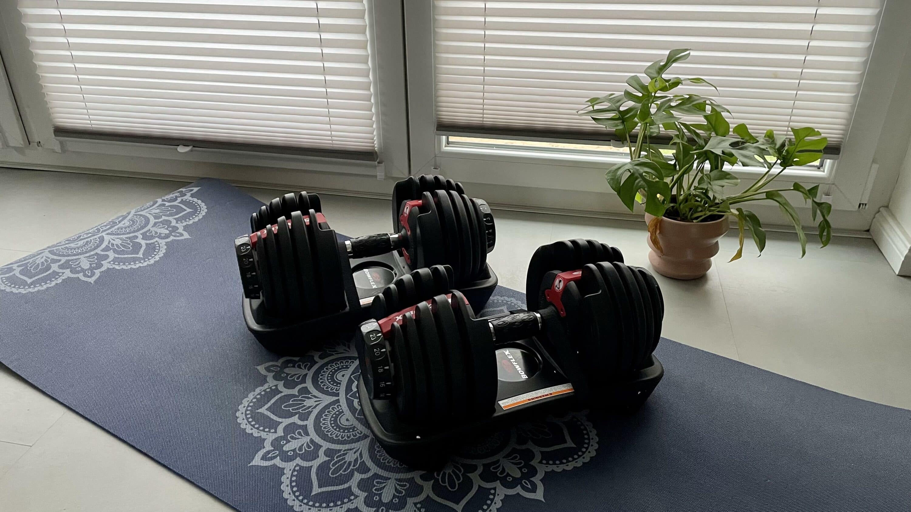 Bowflex Selecttech Hanteln 552i test
