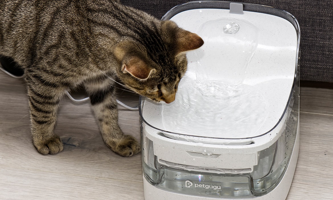 Petgugu Pet Water Fountain PF1 Test