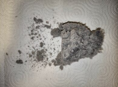 Die angesammelten Partikel nach der Reinigung