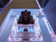 Google Pixel 8 Pro Makro