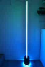 Govee Floor Lamp Pro
