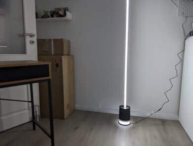 Govee Floor Lamp 2