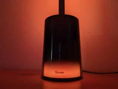 Govee Floor Lamp 2