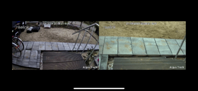 reolink argus track test