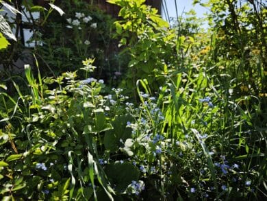 Vergleichsfoto Xiaomi 14 Ultra