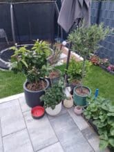 agm pad p2 active test