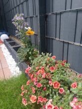 agm pad p2 active test